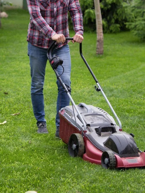 Pro-Mow, Inc. - Lawn care service - Dulles, Virginia