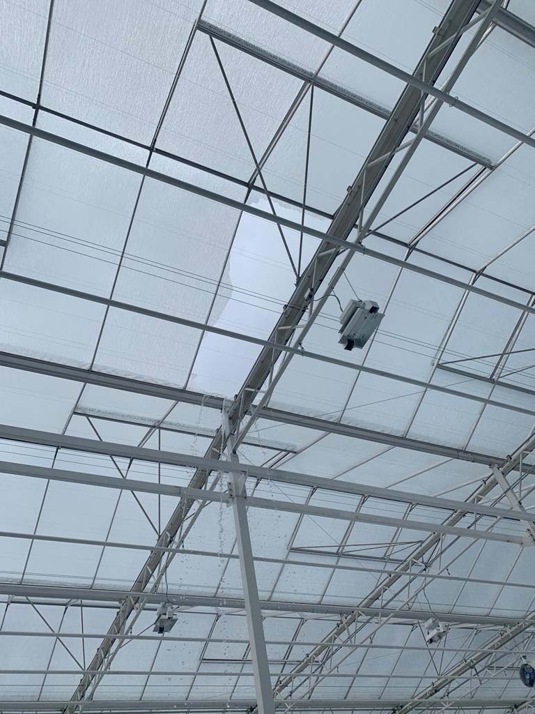 Ruthven Greenhouse Construction