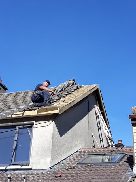 Style Roofing