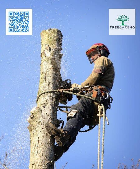 TreeCareHQ Martinsburg - Tree service - Martinsburg, West Virginia